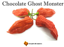Load image into Gallery viewer, Chocolate Ghost Monster