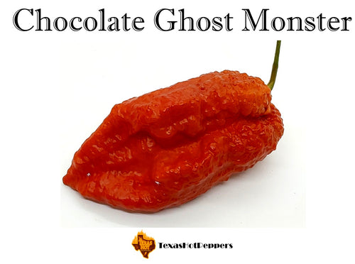 Chocolate Ghost Monster