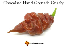 Load image into Gallery viewer, Chocolate Hand Grenade Gnarly