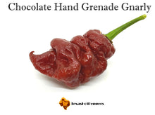 Load image into Gallery viewer, Chocolate Hand Grenade Gnarly