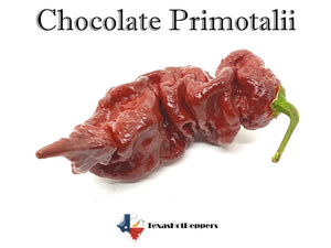 Chocolate Primotalii