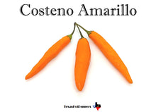 Load image into Gallery viewer, Costeno Amarillo