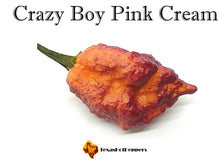 Load image into Gallery viewer, Crazy Boy Pink Cream