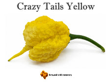 Load image into Gallery viewer, Crazy Tails Yellow