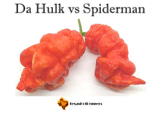 Load image into Gallery viewer, Da Hulk vs Spiderman