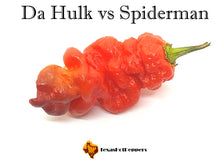 Load image into Gallery viewer, Da Hulk vs Spiderman