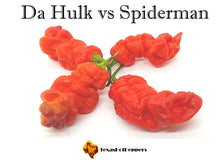 Load image into Gallery viewer, Da Hulk vs Spiderman