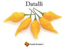 Load image into Gallery viewer, Datalii
