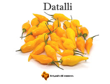 Load image into Gallery viewer, Datalii