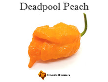 Load image into Gallery viewer, Deadpool Peach