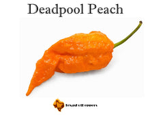 Load image into Gallery viewer, Deadpool Peach