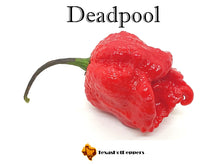 Load image into Gallery viewer, Deadpool