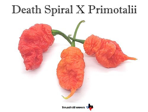 Death Spiral X Primotalii