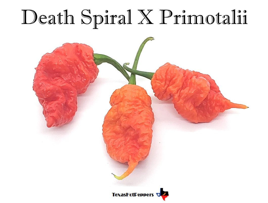 Death Spiral X Primotalii