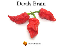 Load image into Gallery viewer, Devils Brain