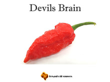 Load image into Gallery viewer, Devils Brain