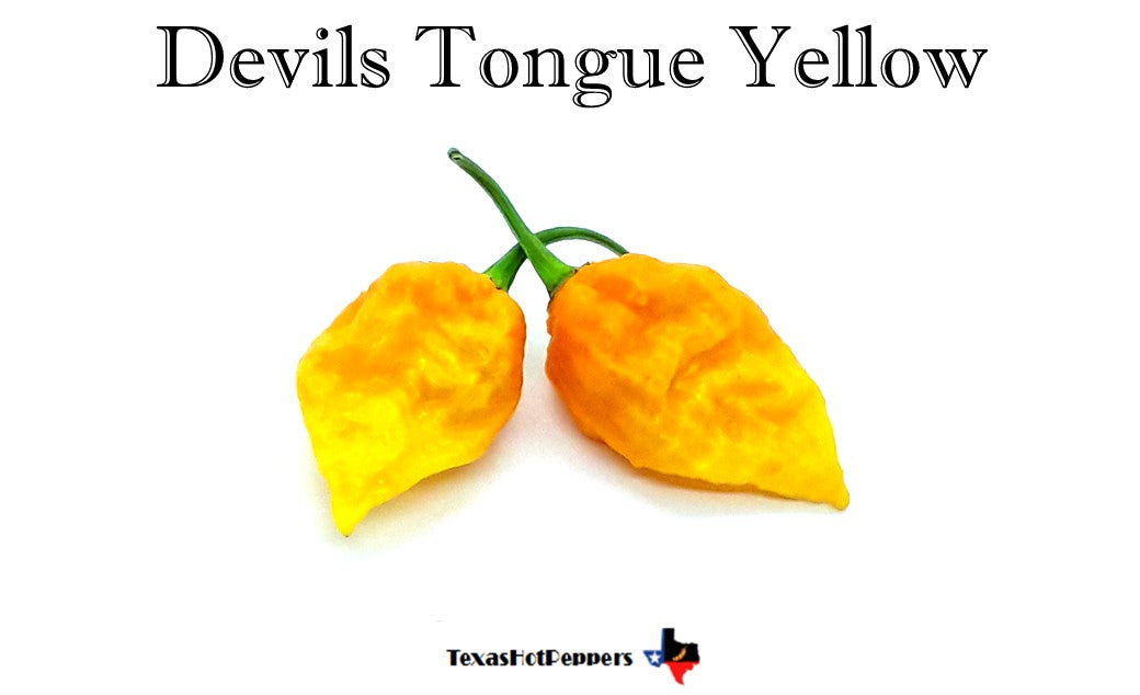 Devils Tongue Yellow