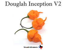Load image into Gallery viewer, Douglah Inception V2