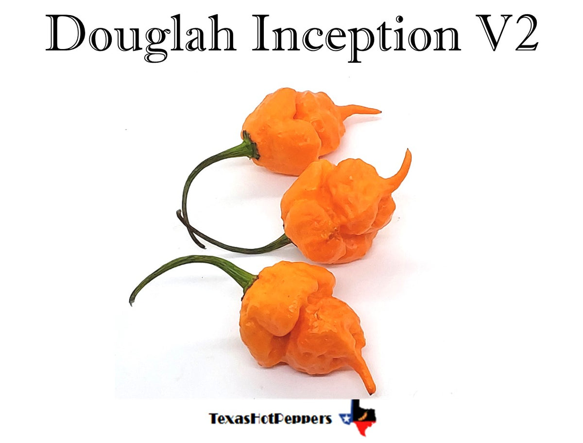 Douglah Inception V2 – Texas Hot Peppers