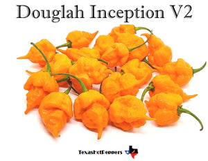 Douglah Inception V2