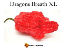 Load image into Gallery viewer, Dragons Breath XL