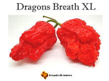 Load image into Gallery viewer, Dragons Breath XL