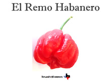 Load image into Gallery viewer, Habanero Seed Collection - 10 Different Varieties