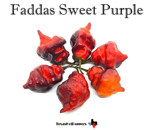 Faddas Sweet Purple