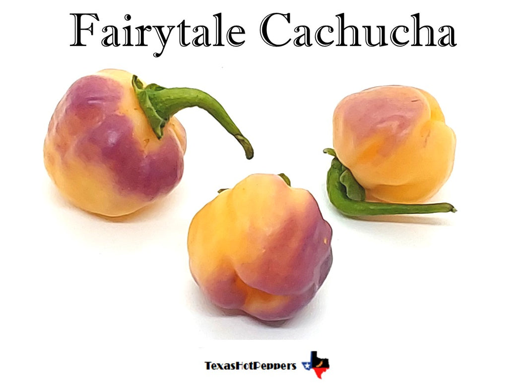 Fairytale Cachucha