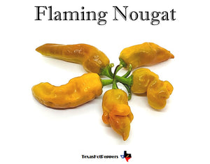 Flaming Nougat