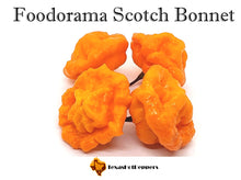 Load image into Gallery viewer, Foodorama Scotch Bonnet