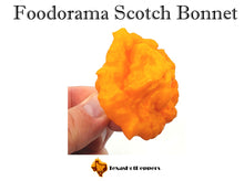 Load image into Gallery viewer, Foodorama Scotch Bonnet