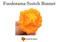 Load image into Gallery viewer, Foodorama Scotch Bonnet