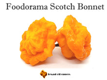 Load image into Gallery viewer, Foodorama Scotch Bonnet
