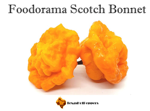 Foodorama Scotch Bonnet