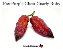 Load image into Gallery viewer, Fox Purple Ghost Gnarly Ruby