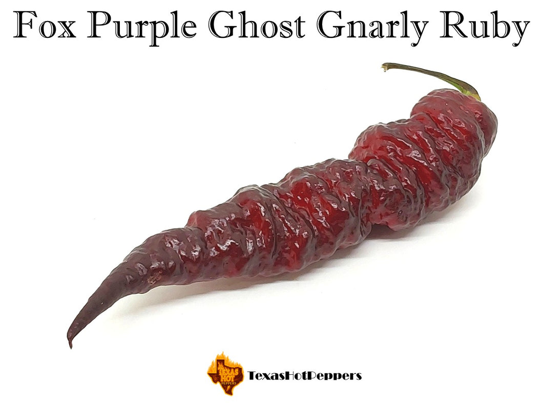 Fox Purple Ghost Gnarly Ruby