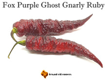 Load image into Gallery viewer, Fox Purple Ghost Gnarly Ruby