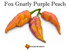 Load image into Gallery viewer, Fox Gnarly Purple Peach