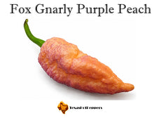 Load image into Gallery viewer, Fox Gnarly Purple Peach