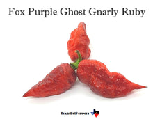 Load image into Gallery viewer, Fox Purple Ghost Gnarly Ruby