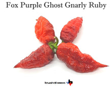 Load image into Gallery viewer, Fox Purple Ghost Gnarly Ruby