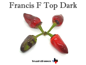 Francis F Top Dark