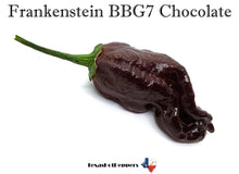 Load image into Gallery viewer, Frankenstein BBG7 Chocolate