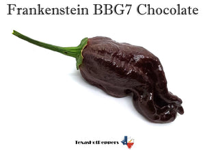 Frankenstein BBG7 Chocolate