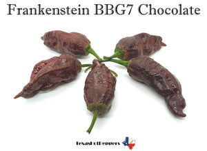 Frankenstein BBG7 Chocolate