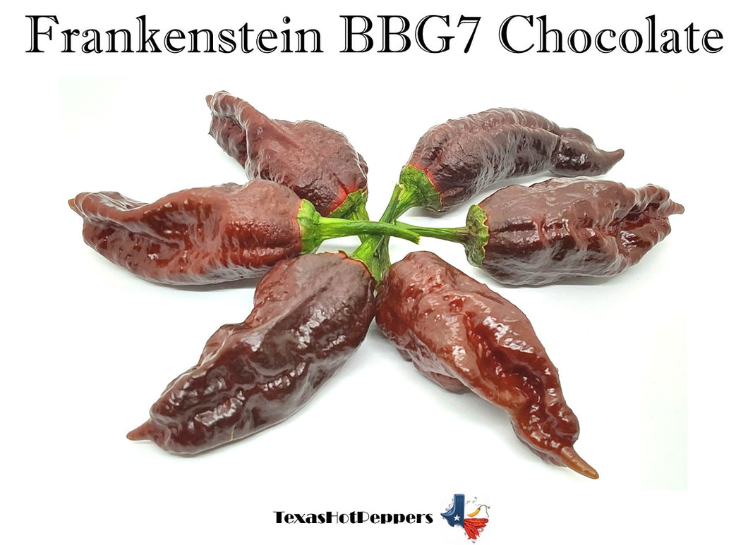 Frankenstein BBG7 Chocolate