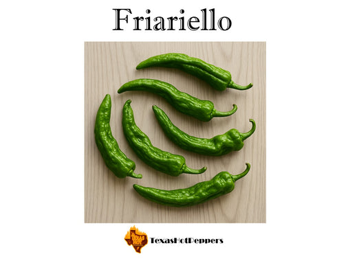 Friariello