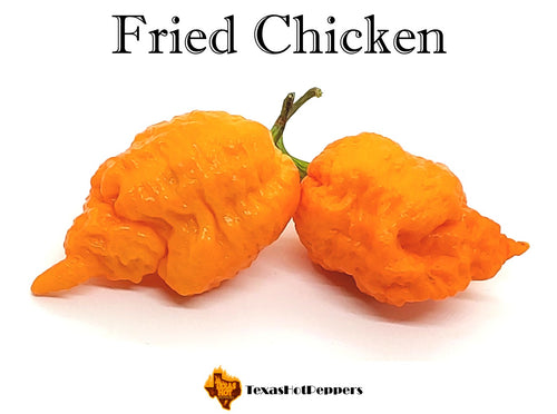 Fried Chicken