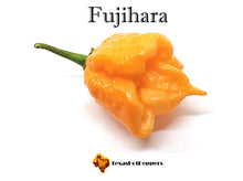 Load image into Gallery viewer, Fujihara